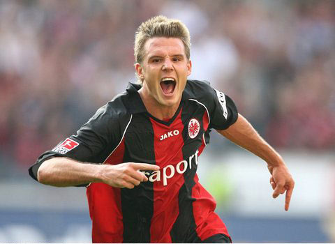 的報導揭示 的報導揭示